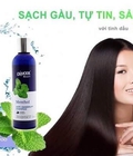 Hình ảnh: Dầu gội trị gàu cao cấp độc quyền bạc hà damode 265ml