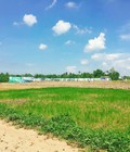 Hình ảnh: Gia đình cấn tiền bán gâp 100m2 đất gần ngã 4 Phước Lý,Cần Giuộc,LA