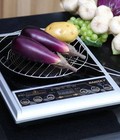 Hình ảnh: Bếp hồng ngoại SANAKY SNK 102HG