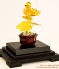 Hình ảnh: Cây Sen Dát Vàng 24k 