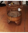 Hình ảnh: Chim khuyên và lồng.