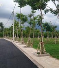 Hình ảnh: Đất nền ven sông gần Hầm Thủ Thiêm