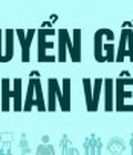 Hình ảnh: Cần tuyển gấp nhân viên kế toán làm việc tại công ty Khoáng Sản Tân Thịnh