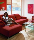 Hình ảnh: Sofa phòng khách cao cấp | Ghế sofa đẹp hiện đại