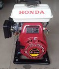 Hình ảnh: Phân phối máy bơm nước mini F154 gắn động cơ Honda GX 100 giá cả cạnh tranh