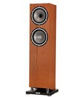 Hình ảnh: Tannoy Revolution XT 6F