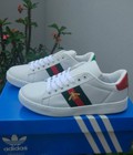 Hình ảnh: Giầy GUCCI ONG