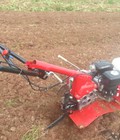 Hình ảnh: Máy xới đất TL401HD động cơ Honda chính hãng 100% đa chức năng thuận tiện cho công việc nhà nông.