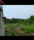 Hình ảnh: Cần bán đất Huyện Vĩnh Cửa, Đồng Nai diện tích 5000m2,