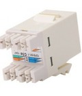 Hình ảnh: Phân phối Commscope AMP cat6 modular jack Hà Nội