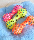 Hình ảnh: Xương gai nhiều màu - đồ chơi chó mèo