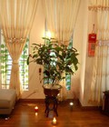 Hình ảnh: Phân lô Trần Bình Mỹ Đình, 65m2, 5 tầng VIP, 6m mặt tiền