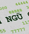 Hình ảnh: Sim ngũ quý ở giữa đẹp xuất sắc