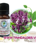 Hình ảnh: Tinh Dầu Hương Nhu