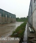 Hình ảnh: Cho thuê gấp nhà xưởng tại KCN Phú Nghĩa, Hà Nội DT 730m2