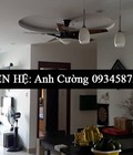 Hình ảnh: Cho thuê nhà trong ngõ Cù Chính Lan 5 tầng 45m2 ngõ ô tô rộng