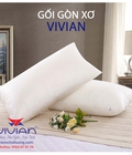 Hình ảnh: Best combo 2 gối nằm gòn xơ 50x70cm + 1 gối ôm gòn xơ 35x100