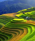 Hình ảnh: Tour Sapa 2 Ngày 1 Đêm Săn Mây Y Tý Sắc màu phiên chợ Mường Hum