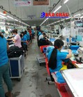Hình ảnh: Truy tìm nguồn hàng bán sỉ quần áo trẻ em lớn nhất tại Sài Gòn