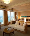 Hình ảnh: Sơn Trà Ocean View CĐT còn duy nhất 14 căn giá rẻ nhất, CK lên đến 100 triệu tại Đà Nẵng