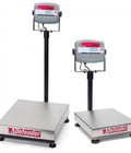 Hình ảnh: Cân bàn điện tử Ohaus, T31P 30kg 600kg
