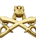 Hình ảnh: Huy hiệu nhựa, huy hiệu đồng, huy hiệu mạ vàng, huy hiệu cài áo