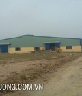 Hình ảnh: Cho thuê đất công nghiệp xây nhà xưởng tại Tân Yên Bắc Giang DT 9900m2 thời hạn sd đất còn 50 năm