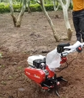 Hình ảnh: ĐỊa chỉ phân phối máy làm đất đa năng TL601HD sử dụng động cơ HONDA chính hãng 6.5HP giá rẻ nhất thị trường