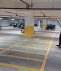 Hình ảnh: Nhà thầu chuyên thi công sơn kẻ vạch tầng hầm giá rẻ