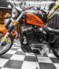 Tem xe Harley Davidson Tem xe thiết kế cam lửa
