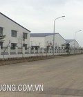 Hình ảnh: Bán gấp 1ha đất Cụm CN Lương điền hải dương giá hợp lý