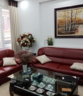 Hình ảnh: Nhà kinh doanh Mai Dịch, 166m2, 5 tầng, 12m mặt tiền