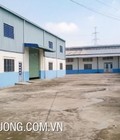Hình ảnh: Cho thuê gấp nhà xưởng tiêu chuẩn giá rẻ tại Sao Đỏ Chí linh, Hải Dương DT 1004m2