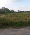 Hình ảnh: 2900m2 đất biệt thự vườn mặt tiền 33m đường lớn xe hơi giá 2tr/m2