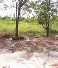 Hình ảnh: Đầu tư sinh lời nhanh với 2500m2 đường 6 giá chỉ 2.6tr/m2 Tại Nhà Bè