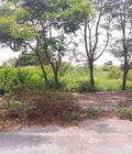 Hình ảnh: 1000m2 đất chính chủ Long Thới Nhà Bè 6tr/m2 đường Xương Cá 2
