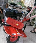Hình ảnh: Địa chỉ bán máy cày mini 170 chạy xăng đầy đủ phụ kiện giá rẻ nhất