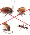 Hình ảnh: Máy Pest Reject đuổi các loại côn trùng như chuột,ruồi,muỗi,kiến,rán bằng sóng âm an toàn hiệu quả