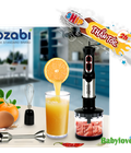 Hình ảnh: Máy xay cầm tay Rozabi 1000 PLUS