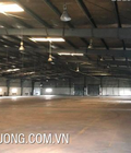 Hình ảnh: Cho thuê kho xưởng chính chủ tại thành phố Thái Bình DT 4010m2