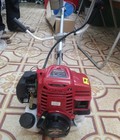 Hình ảnh: Địa chỉ bán máy cắt lúa đeo lưng động cơ HONDA 4 thì chính hãng giá rẻ nhất thị trường tại Hà Nội