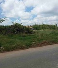 Hình ảnh: 1000m2 Đất TCLN 20x50 Đường 17m KDC hiện hữu 5.5tr/m2