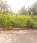 Hình ảnh: 1000m2 Đất Ngã tư Phan Văn bảy, đường xe hơi, ngang 20m, SHR bán 4.8tr/m2