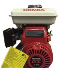 Hình ảnh: ĐỘNG CƠ NỔ honda GX100          