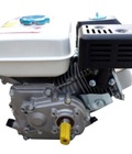 Hình ảnh: Động cơ nổ xăng - giảm tốc GX 160C trục xéo