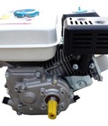 Hình ảnh: Động cơ nổ xăng - giảm tốc GX 200C trục xéo