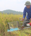 Hình ảnh: Tìm mua máy gặt lúa mini cầm tay động cơ 2 thì giá rẻ tại Hà Nội