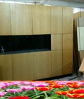 Hình ảnh: Thanh lý tủ đựng đồ văn phòng nhiều cửa giá rẻ