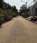 Hình ảnh: 90m2 đất thổ cư 100% Long Thới Nhà Bè SHR