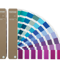Hình ảnh: Pantone FHIP 110N TPG 6.000.000đ